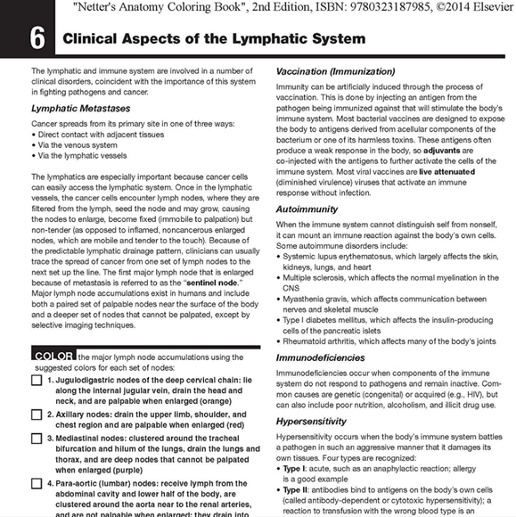 Anatomy Coloring book Netter's New - Picture 3 of 7